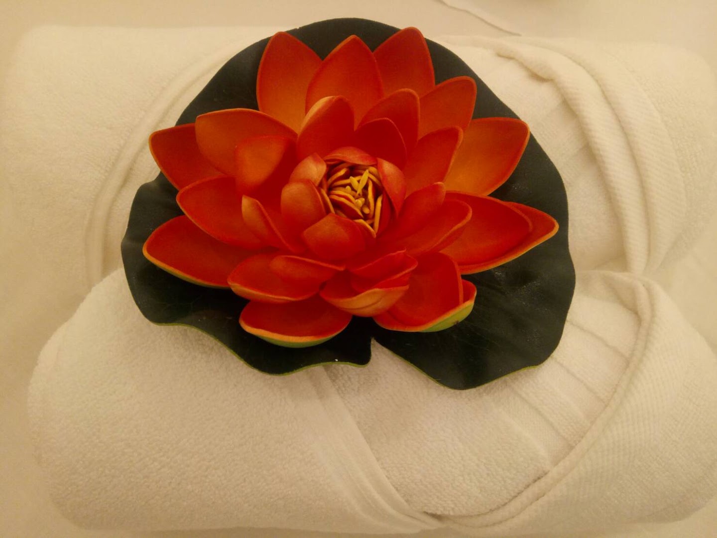 Thai Lanna Massage · Photos 5